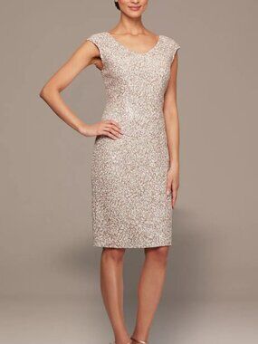 ✨Alex Evenings Knee Length V Neck Sheath Dress 8P NWT